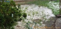 पर्वतमा असिनापानीले वालीनालीमा क्षति